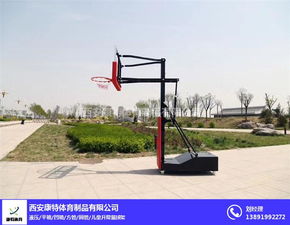 青島籃球架 籃球架生產廠 陜西籃球架供應商 優質商家