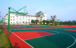 象州塑膠球場(chǎng)價(jià)格是多少,象州硅pu報(bào)價(jià),象州塑膠球場(chǎng)施工鋪設(shè)廠家高清圖片 高清大圖